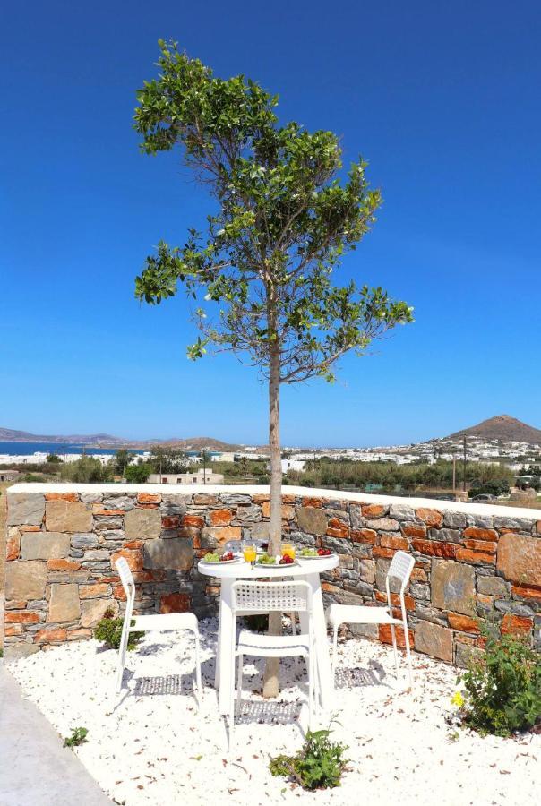 Vila The Nine Graces - Agia Anna - Option With Private Pool Or Hot Tub Exteriér fotografie